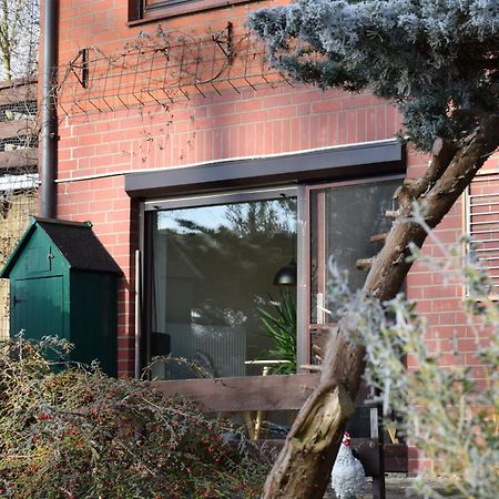 Elbwald-Studio Hitzacker Exteriör bild